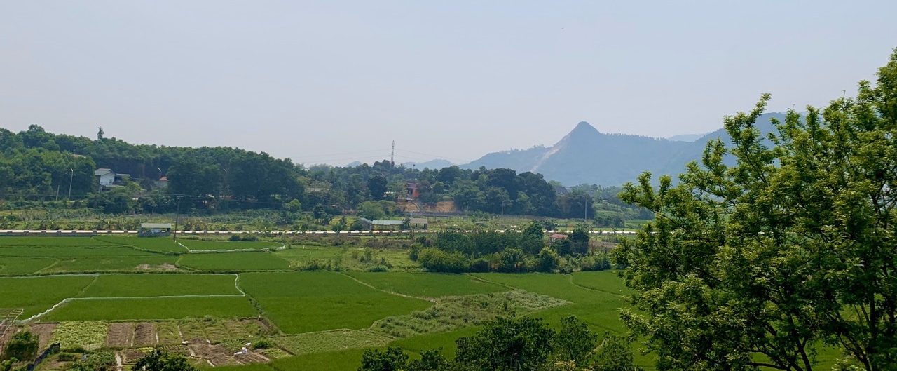 GOLD VILLAS - Khu nghỉ dưỡng đa sắc màu thiên nhiên